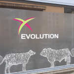 Image d'un film dépoli