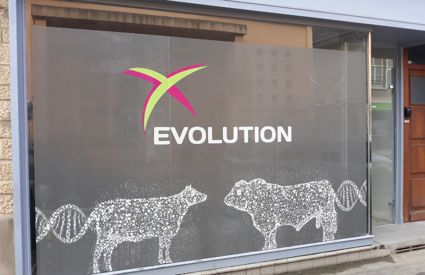 Image d'un film dépoli